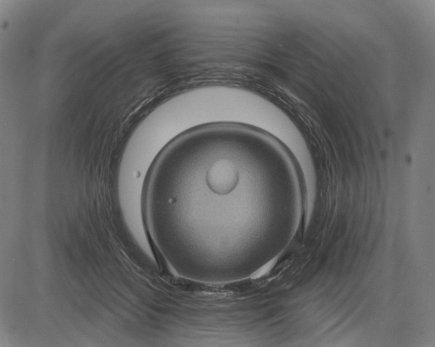 X0000083040556200702161709