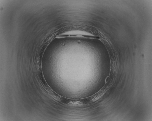 X0000083040557200702161709