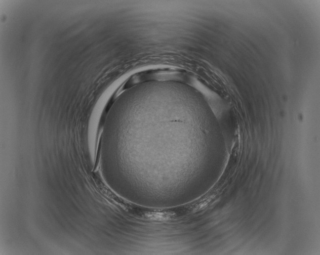 X0000083040558200702161709