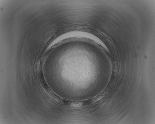 X0000083040560200702161709