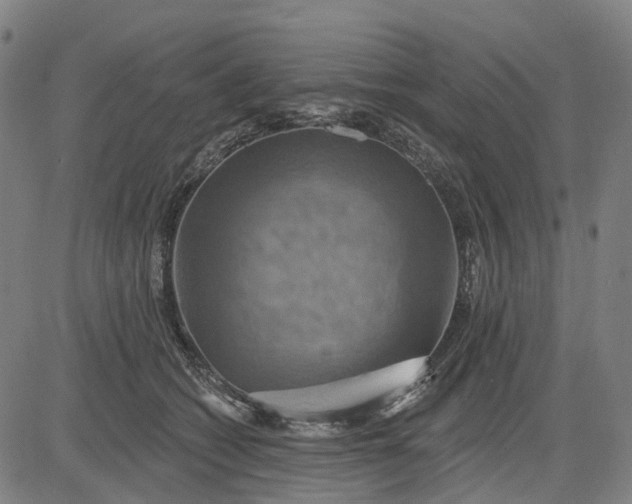 X0000083040562200702161709