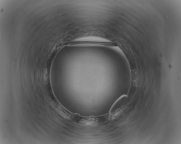 X0000083040563200702161709