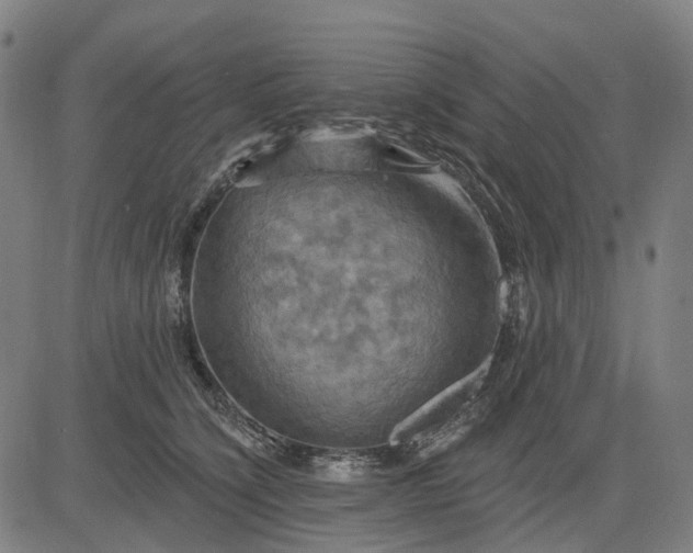 X0000083040564200702161709