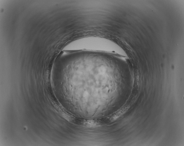 X0000083040565200702161709