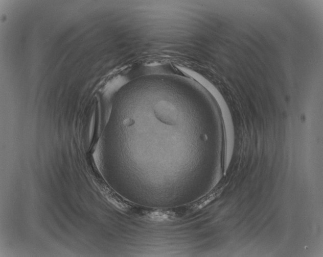 X0000083040566200702161709