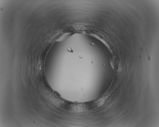 X0000083040567200702161709