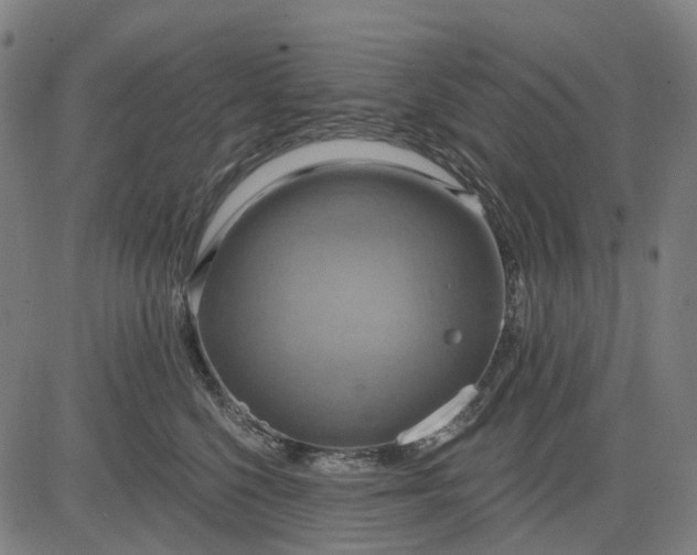 X0000083040568200702161709