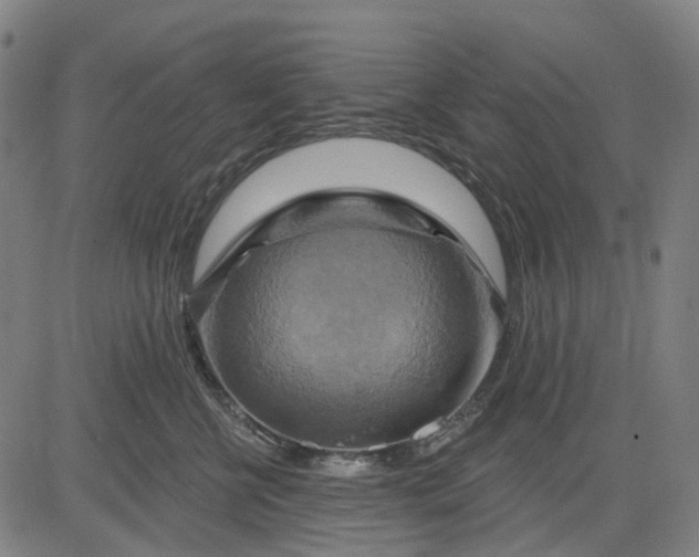 X0000083040570200702161709