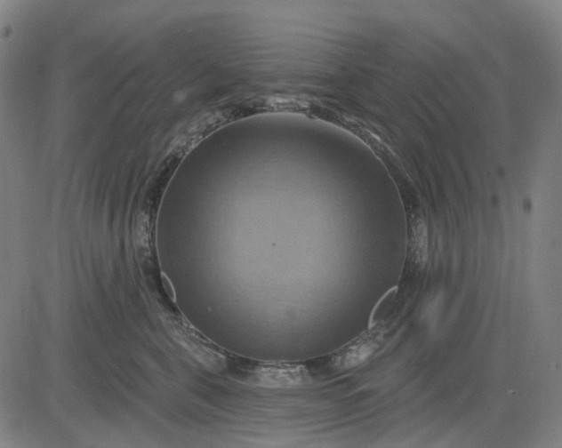 X0000083040571200702161709