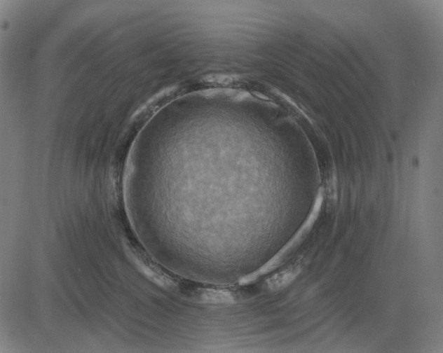 X0000083040572200702161709