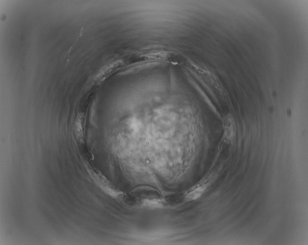 X0000083040573200702161709