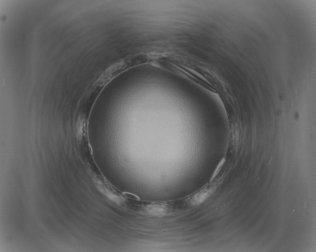 X0000083040574200702161709