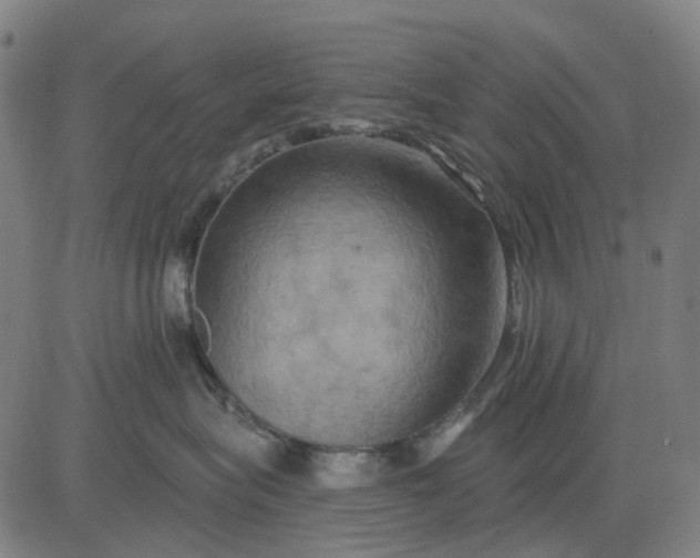 X0000083040575200702161709