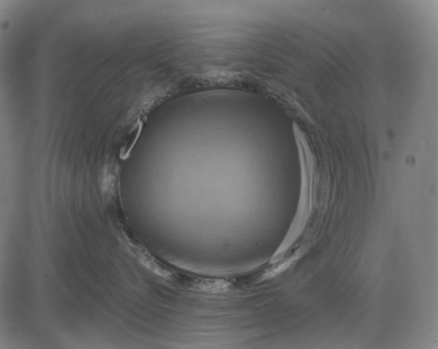 X0000083040576200702161709