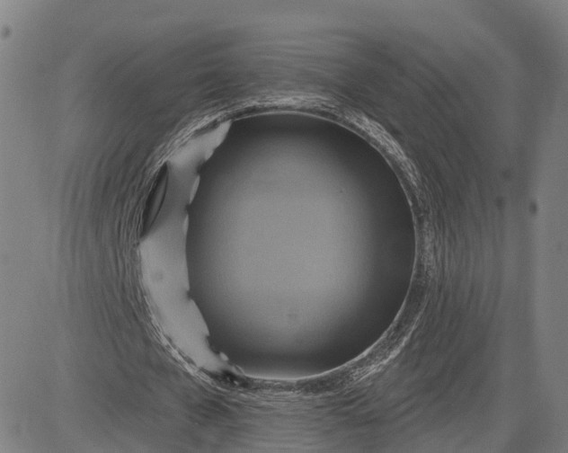 X0000083040577200702161709