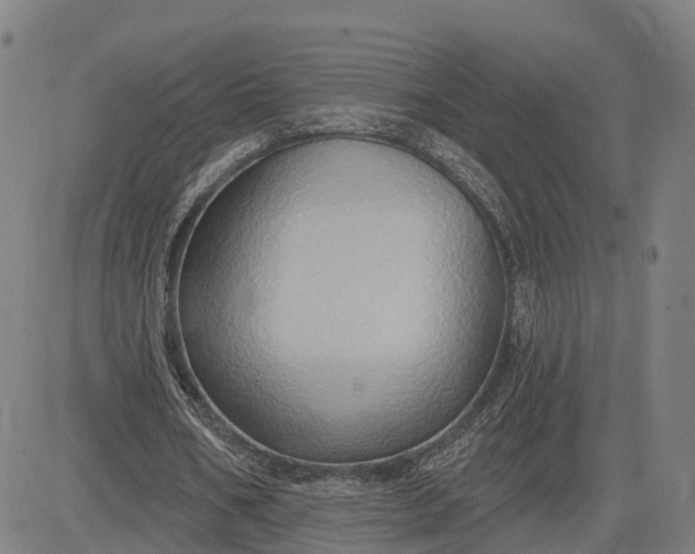 X0000083040578200702161709