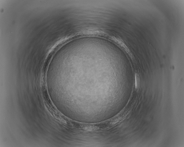 X0000083040579200702161709