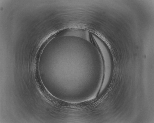 X0000083040580200702161709