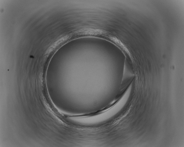 X0000083040581200702161709