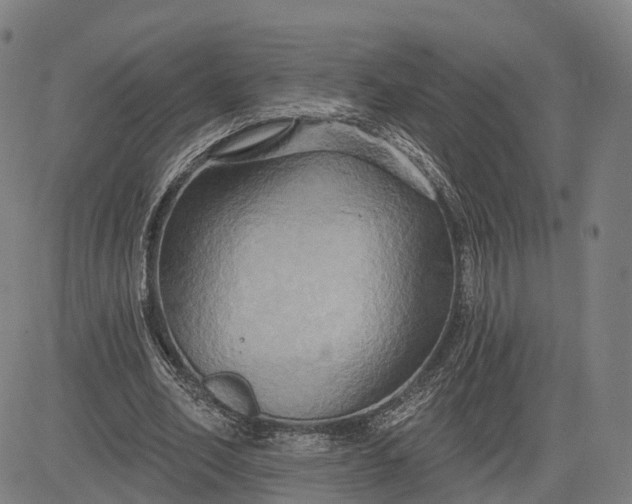 X0000083040582200702161708