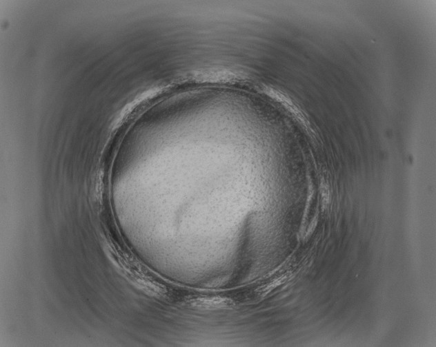 X0000083040583200702161708