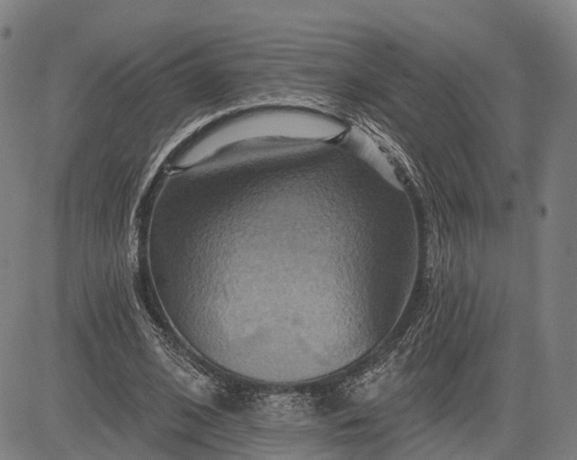 X0000083040584200702161708