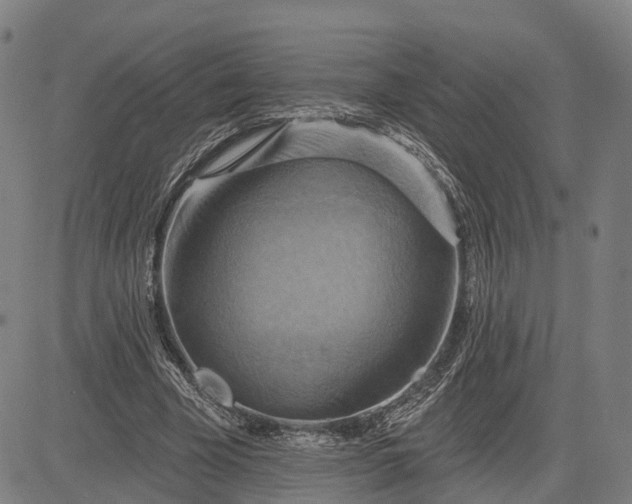 X0000083040585200702161708