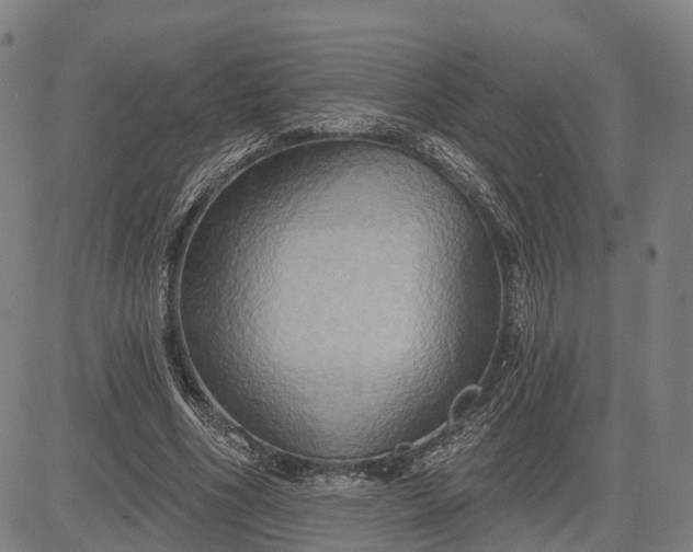 X0000083040586200702161708