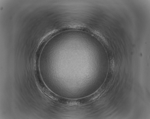 X0000083040587200702161708