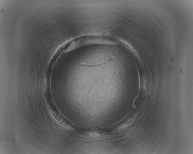 X0000083040588200702161708