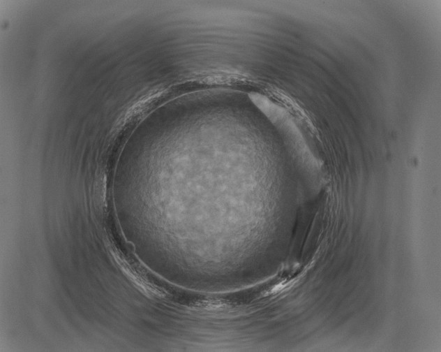 X0000083040589200702161708