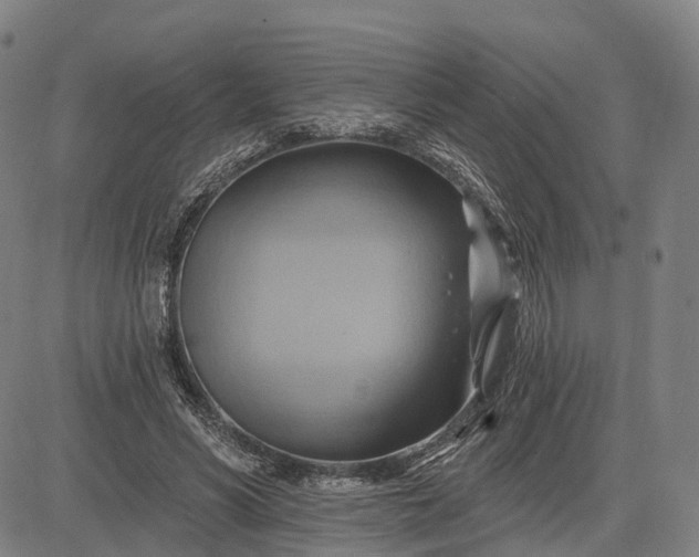 X0000083040590200702161708