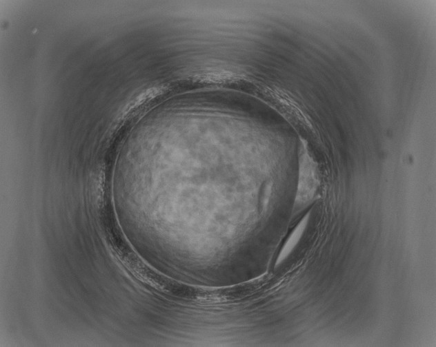 X0000083040591200702161708