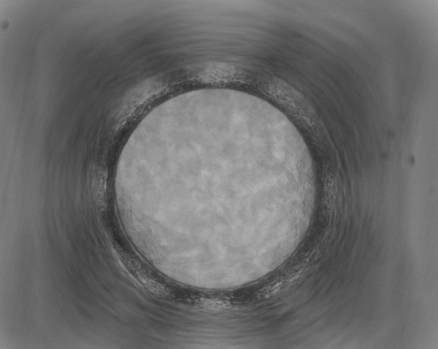 X0000083040592200702161708