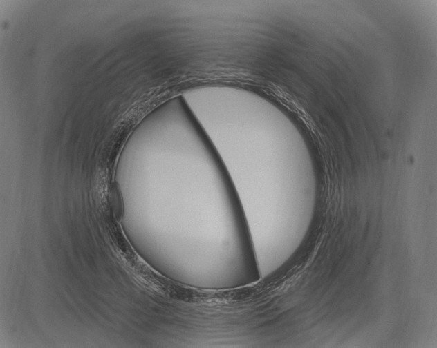 X0000083040593200702161708