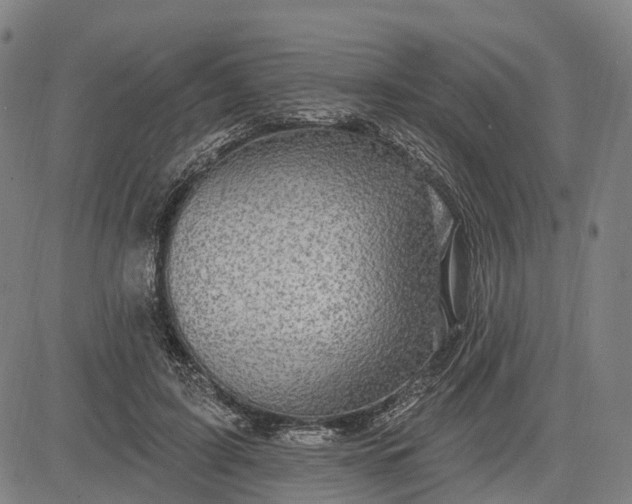 X0000083040595200702161708