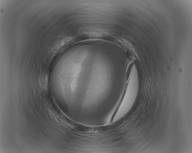 X0000083040596200702161708