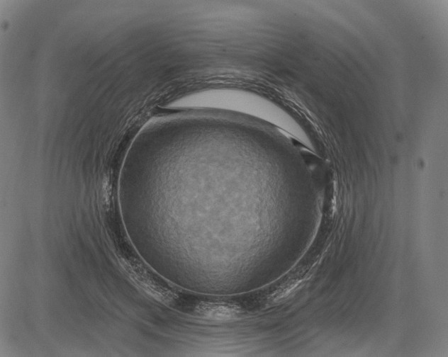 X0000083040597200702161708