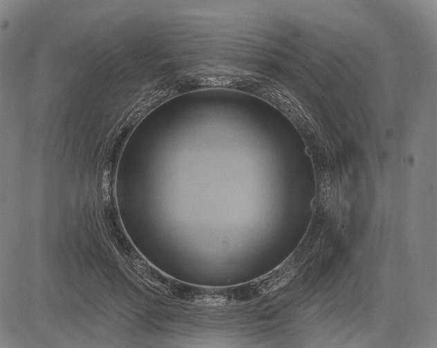 X0000083040598200702161708