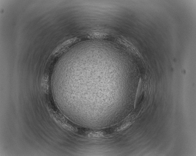 X0000083040599200702161708