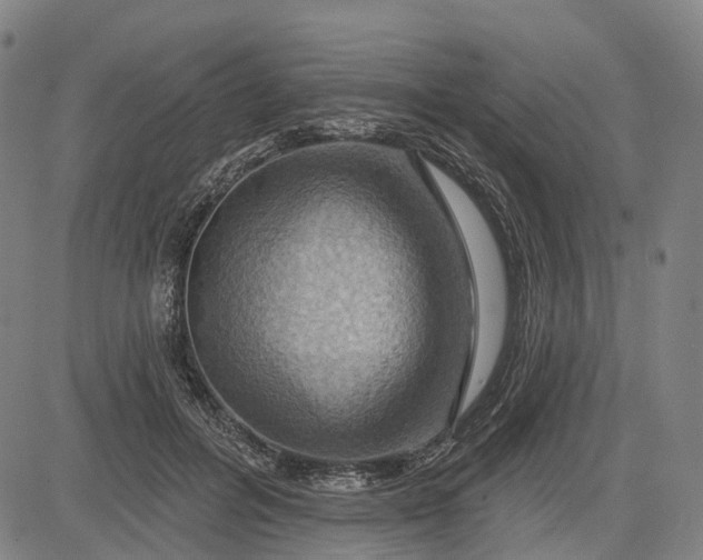 X0000083040600200702161708