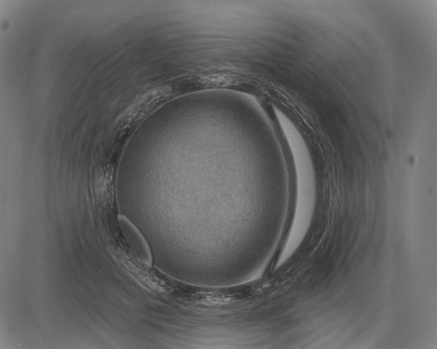 X0000083040601200702161708