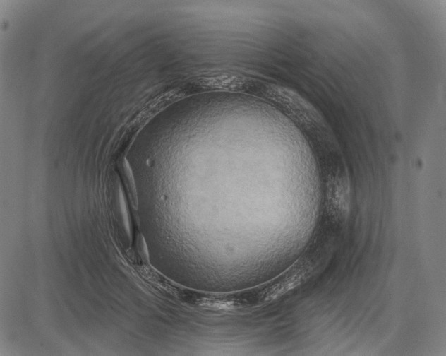 X0000083040602200702161708