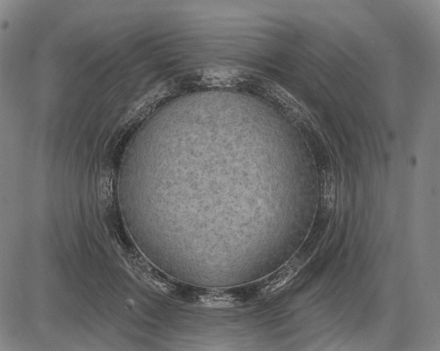 X0000083040603200702161708