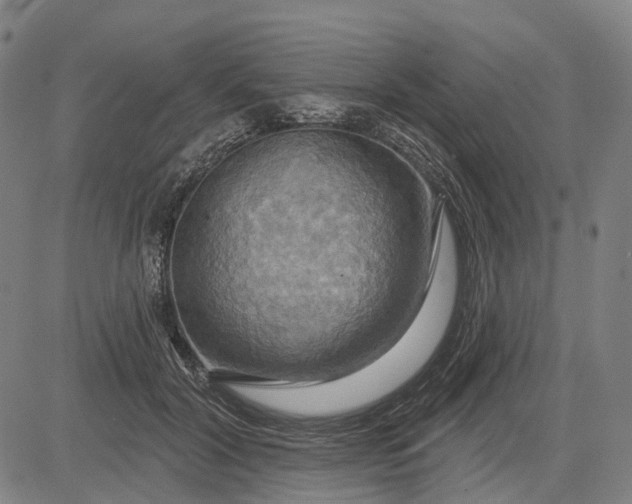 X0000083040604200702161708