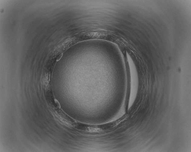 X0000083040605200702161708