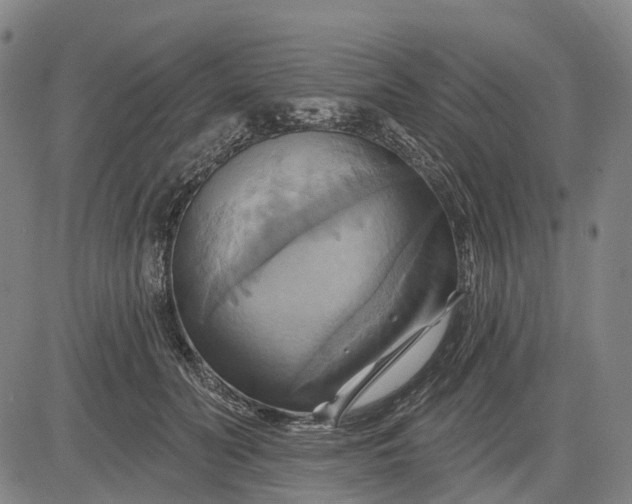 X0000083040606200702161708