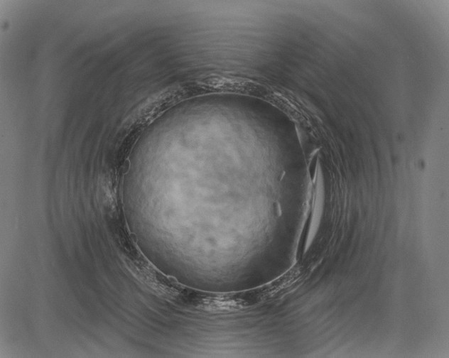 X0000083040607200702161708