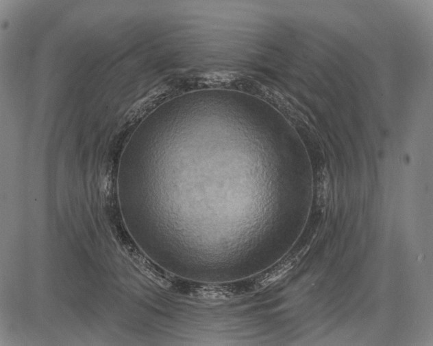 X0000083040608200702161708