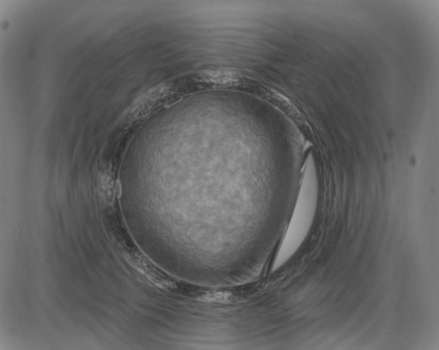 X0000083040609200702161708